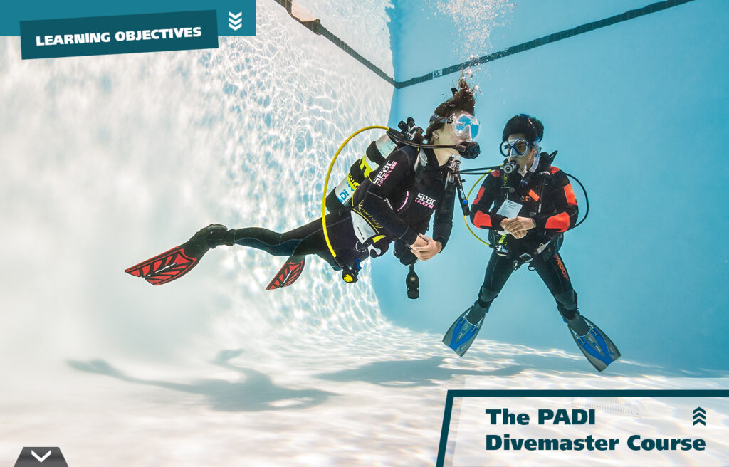 PADİ DİVEMASTER COURSE