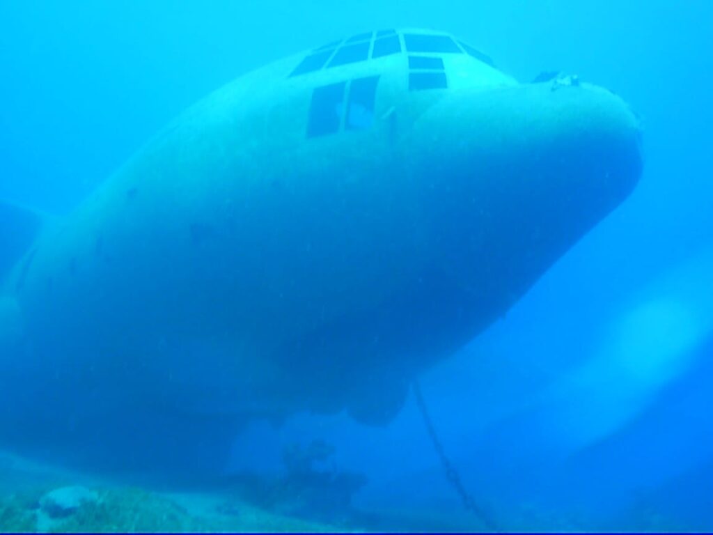 kızıldeniz dalış akabe körfez scuba diving red sea gulf of akabe
